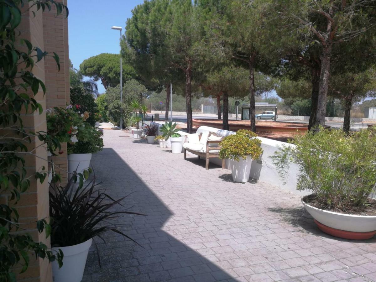 Hotel Marisma Sancti Petri Chiclana de la Frontera Ngoại thất bức ảnh